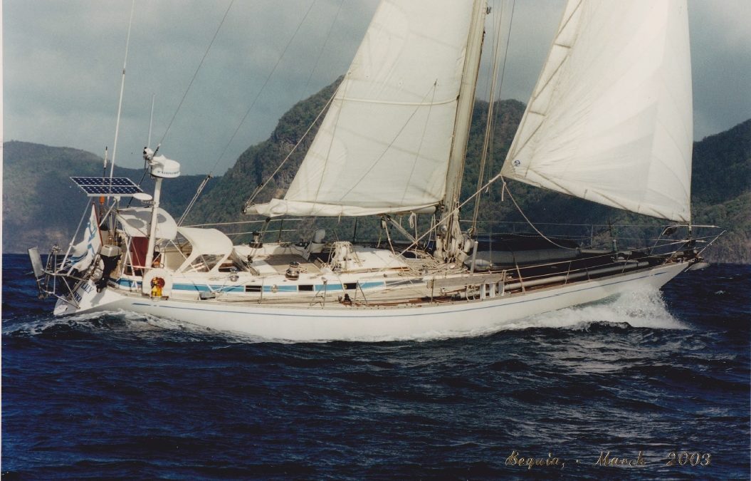 Tiger Lily, Swan 47