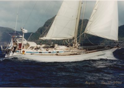 Tiger Lily, Swan 47